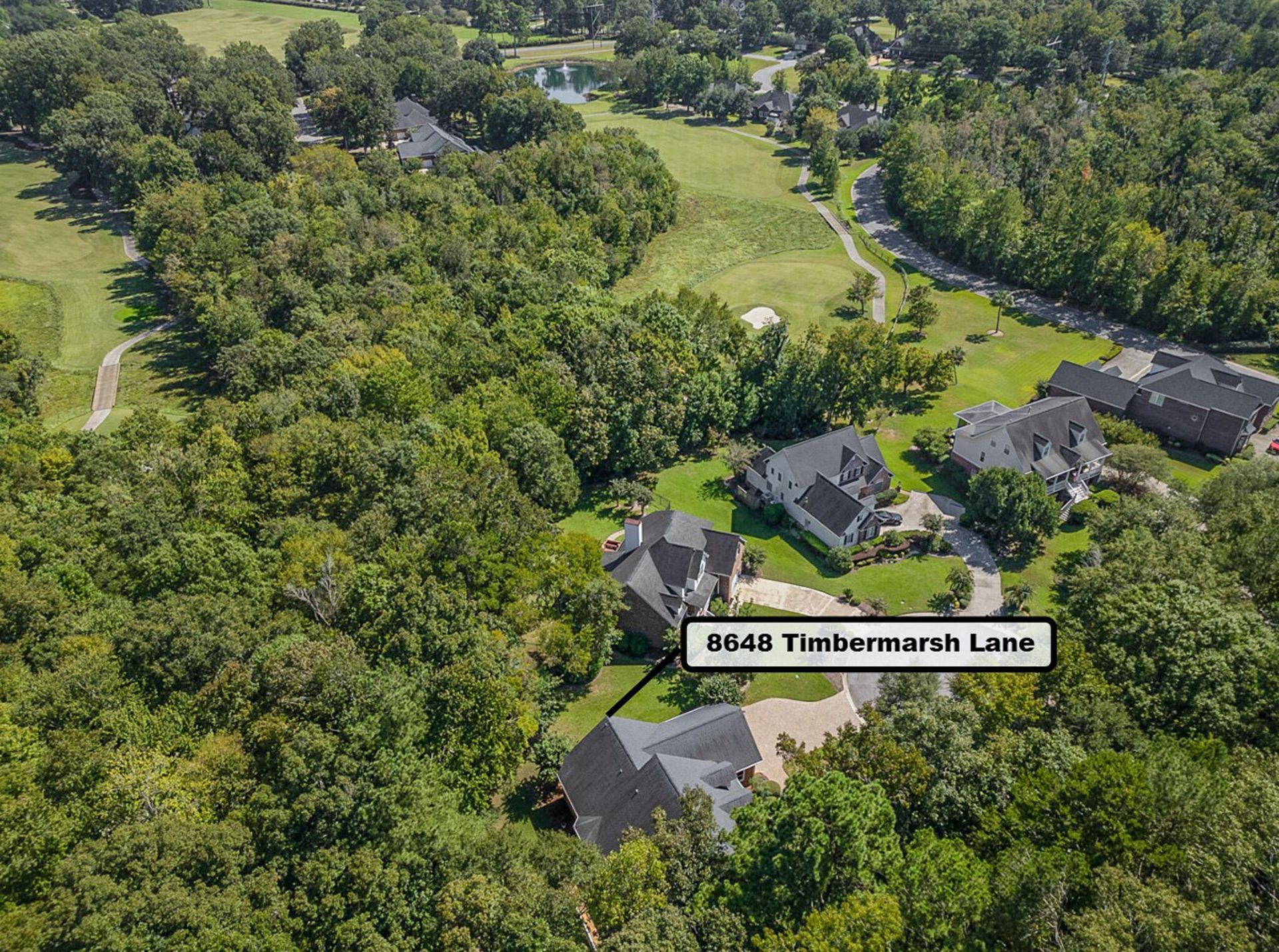 8648 Timbermarsh Lane Photo 63