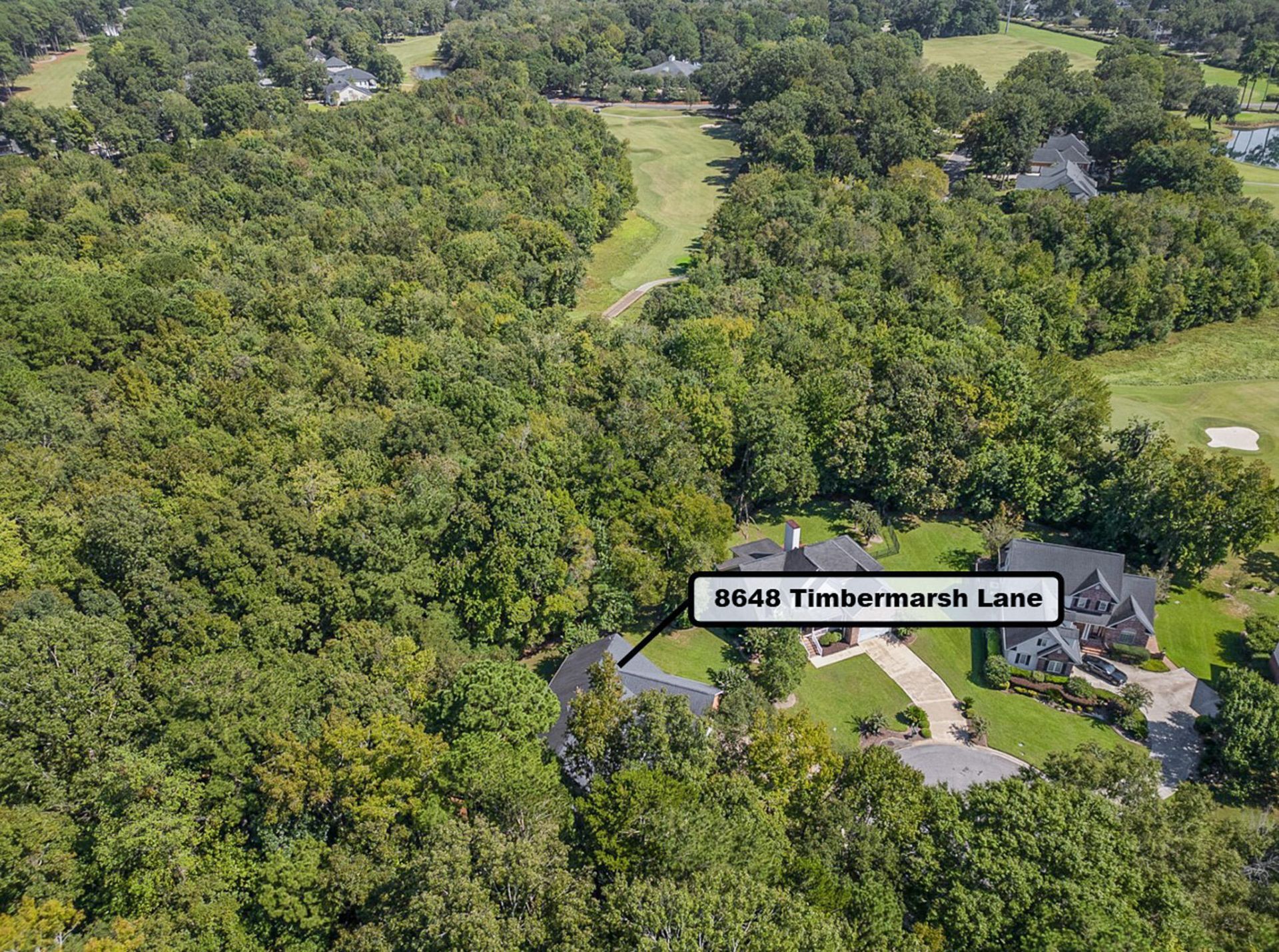 8648 Timbermarsh Lane Photo 65