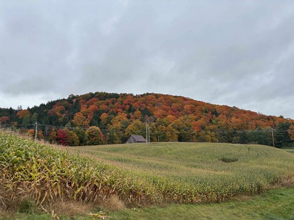 0000 Lily Pond Road, Unit 5, Lyndon, VT 05851