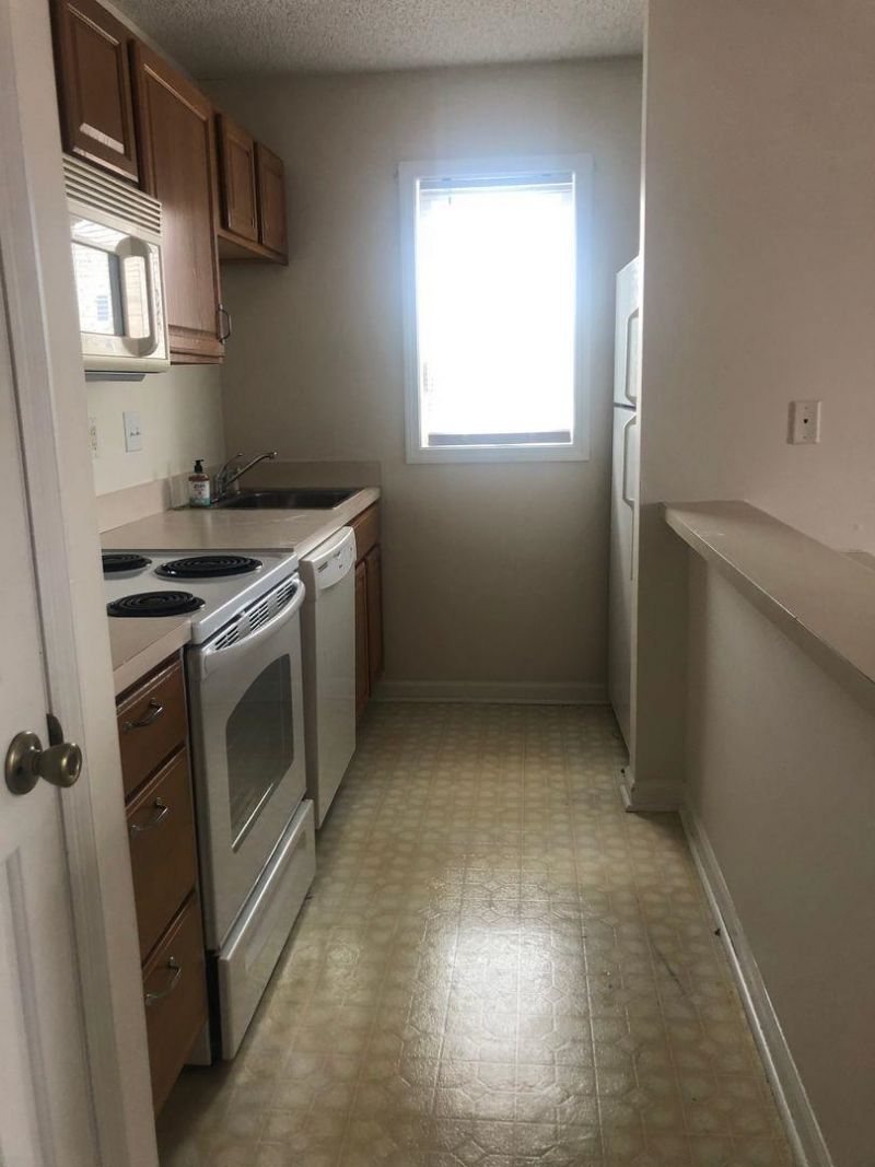 204 Double Eagle Dr.  Photo 6