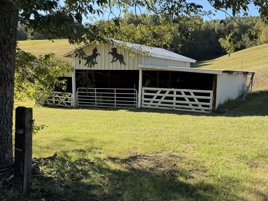 Property Image 12