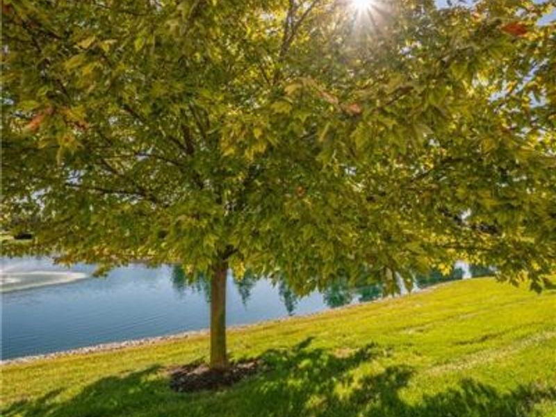 2630 Netherland Drive, Unit 104, Beavercreek, OH 45431 Photo 56