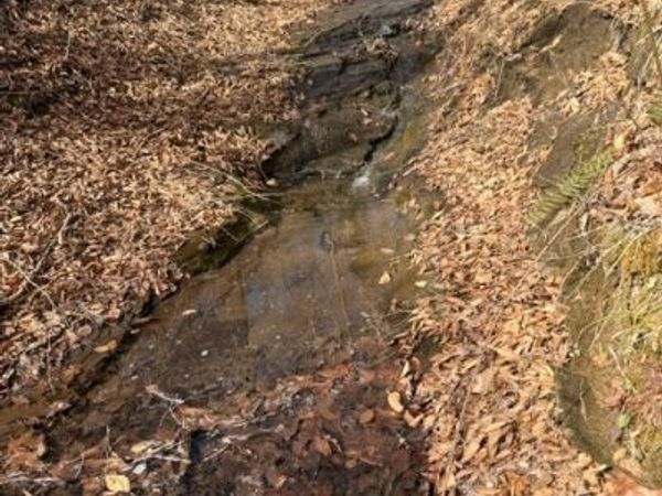 1013 Valencia Ct , Ashland City, TN 37015