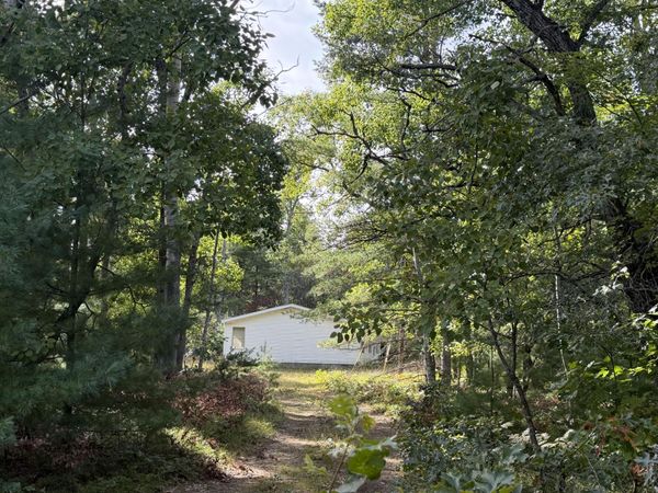 21331 Red Oak Trail, Hillman, MI 49746