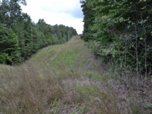 0 Zizka Dr, Sparta, TN 38583