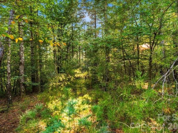 60 Kingfisher Terrace , Nebo, NC 28761