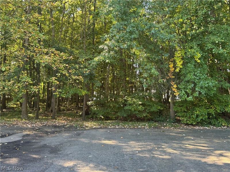 1331 Fox Run Drive, Unit 4, Boardman, OH 44512 Photo 13