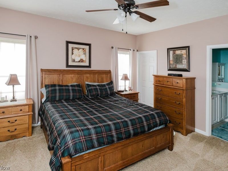 264 Cedarbrook Drive, Painesville, OH 44077 Photo 16