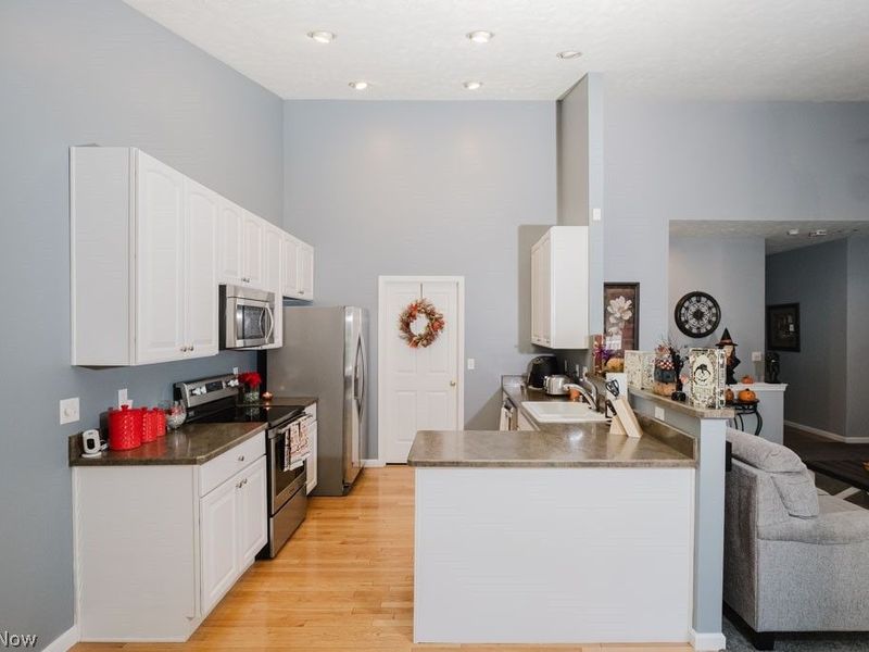264 Cedarbrook Drive, Painesville, OH 44077 Photo 5