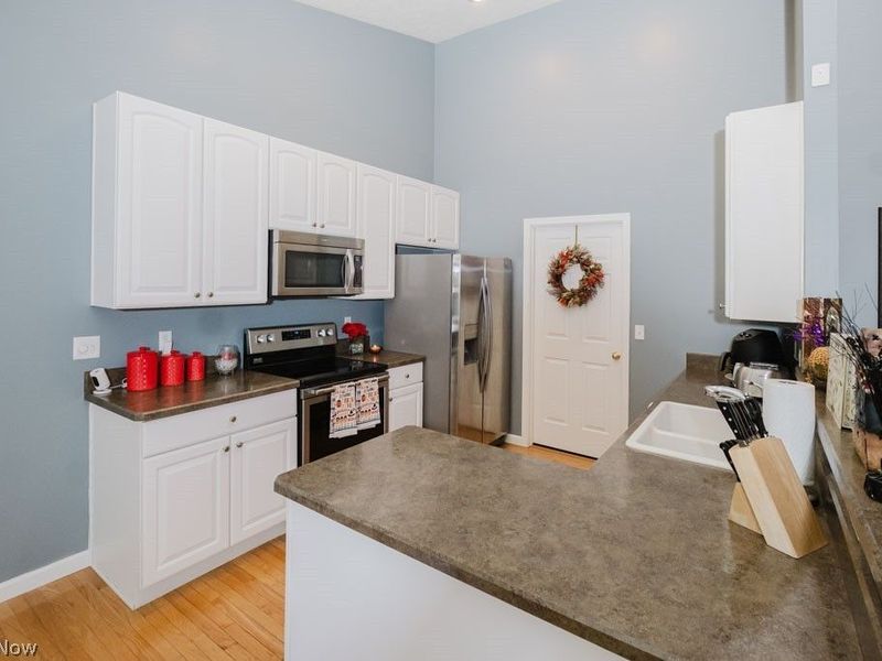 264 Cedarbrook Drive, Painesville, OH 44077 Photo 6