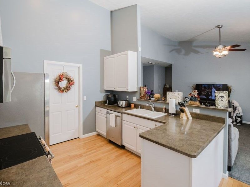 264 Cedarbrook Drive, Painesville, OH 44077 Photo 7