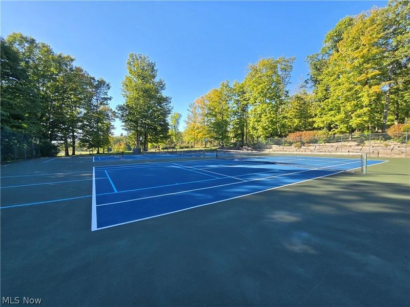 8532 Tanglewood Trail, Chagrin Falls, OH 44023 Photo 36