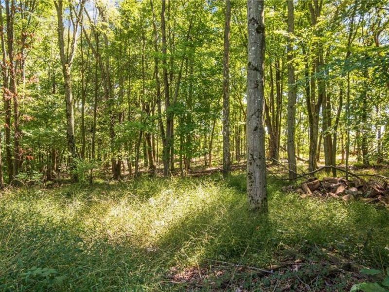 2038 Oldtown Valley Road SE, New Philadelphia, OH 44663 Photo 36
