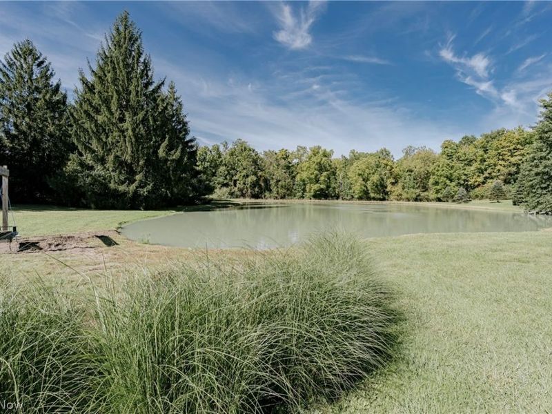 4892 Foote Road, Medina, OH 44256 Photo 39