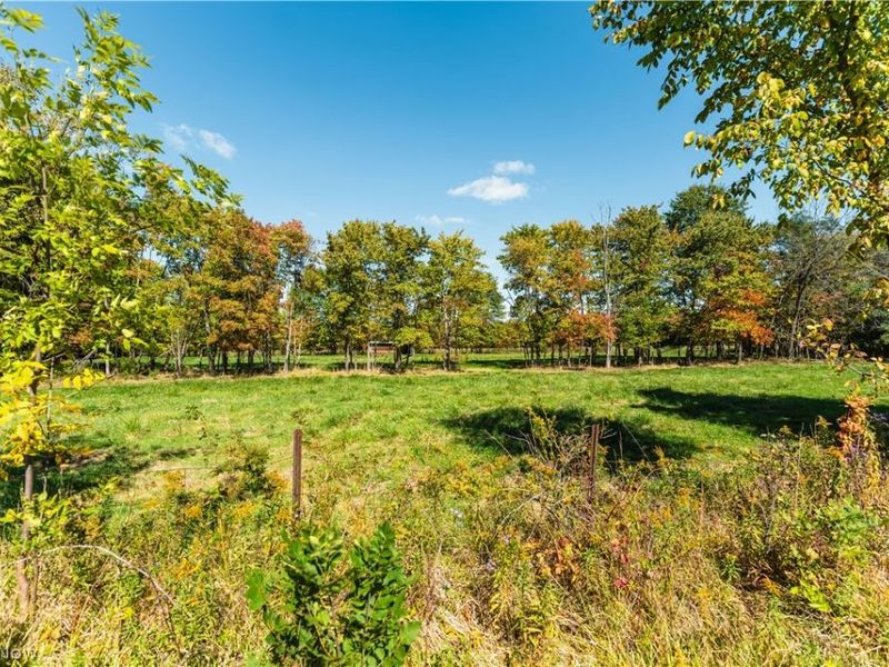 2731 Dodgeville Rd, Rome, OH 44085 Photo 45