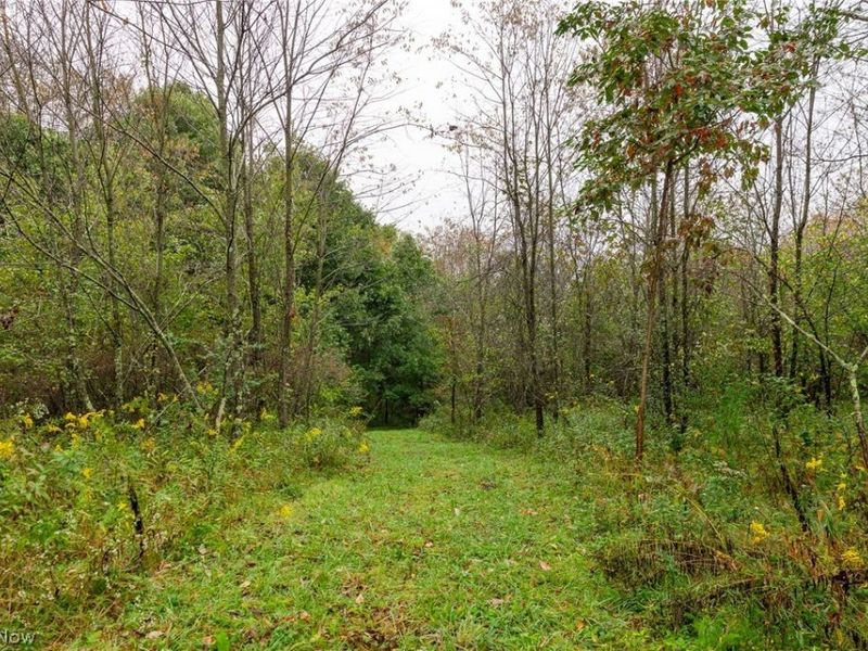 87788 New Rumley Road, Jewett, OH 43986 Photo 19