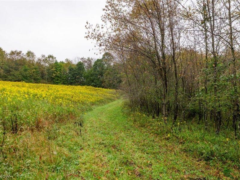 87788 New Rumley Road, Jewett, OH 43986 Photo 27