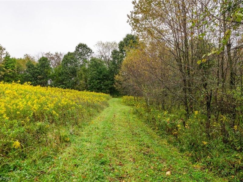 87788 New Rumley Road, Jewett, OH 43986 Photo 28