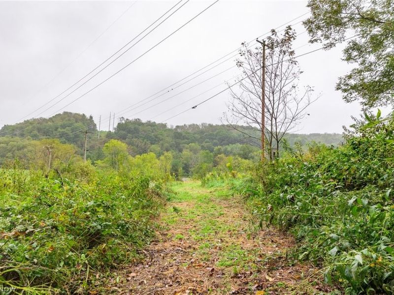 87788 New Rumley Road, Jewett, OH 43986 Photo 6