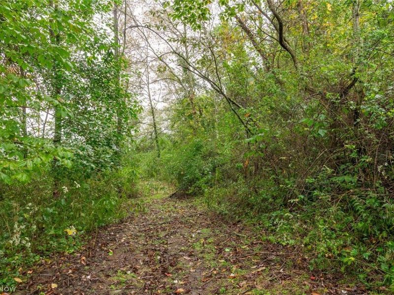 87788 New Rumley Road, Jewett, OH 43986 Photo 7