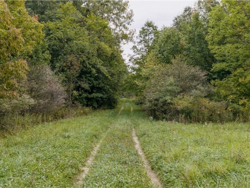 3777 Wayland Road, Diamond, OH 44412 Photo 15