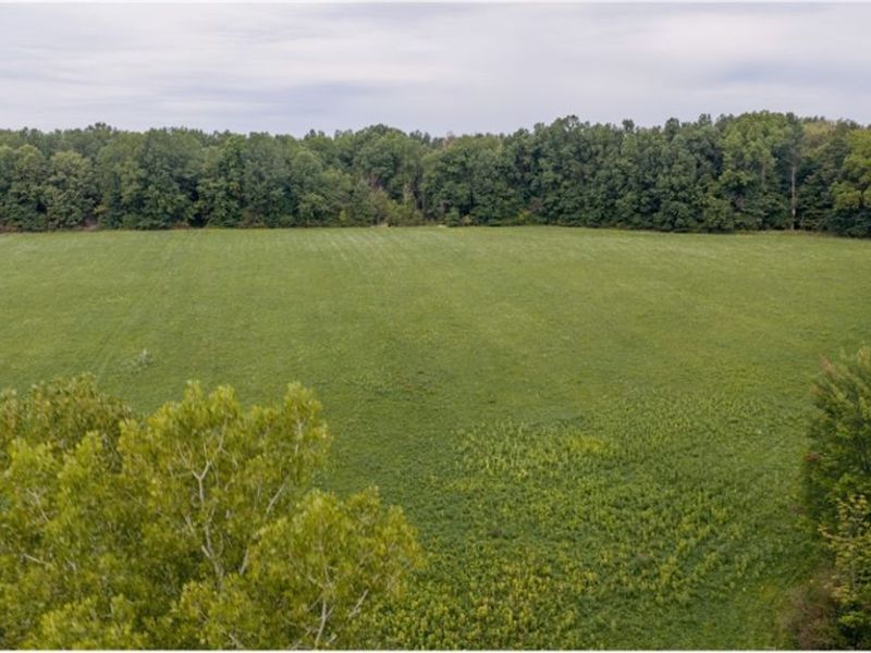 3777 Wayland Road, Diamond, OH 44412 Photo 2