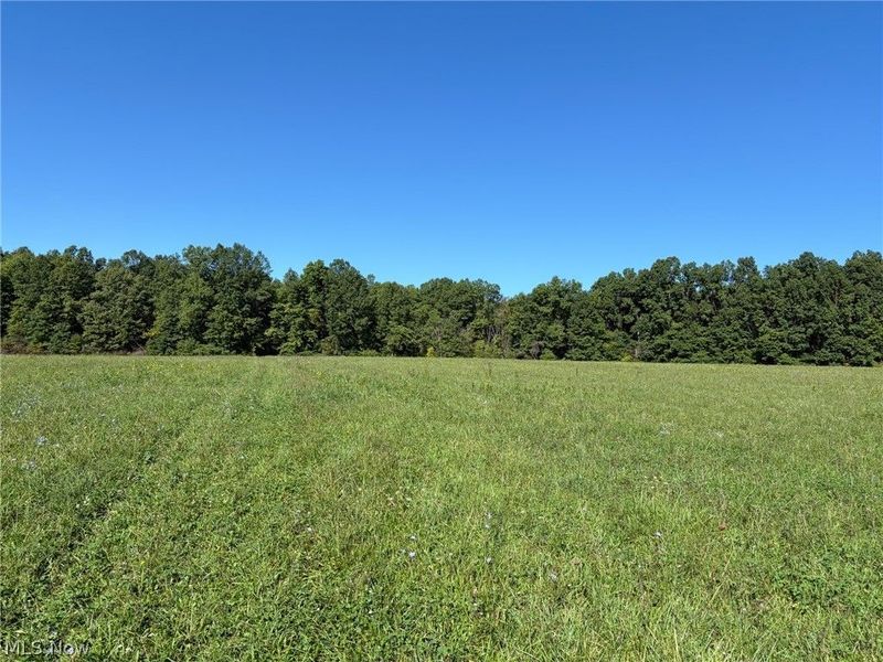 3777 Wayland Road, Diamond, OH 44412 Photo 22