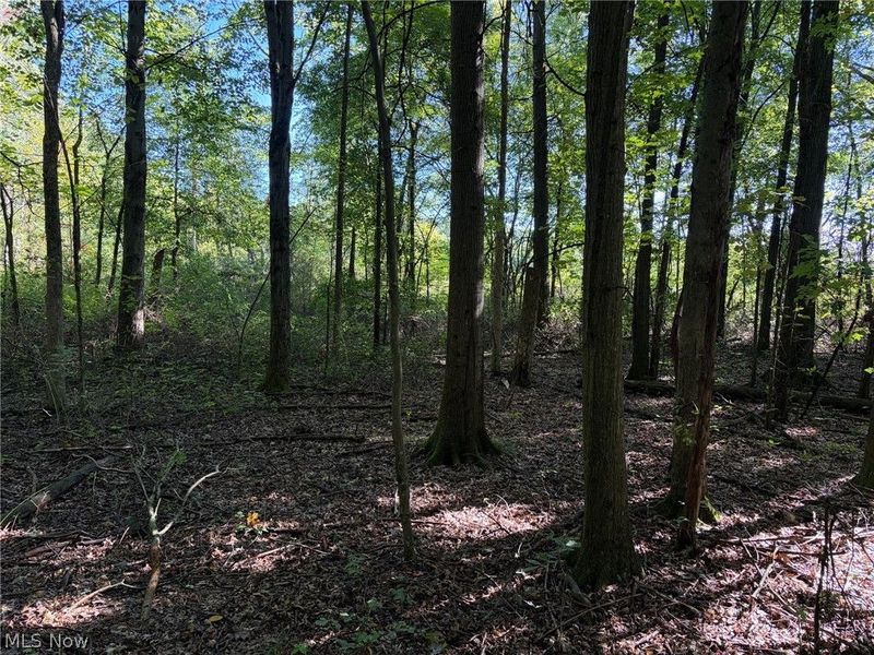 3777 Wayland Road, Diamond, OH 44412 Photo 23