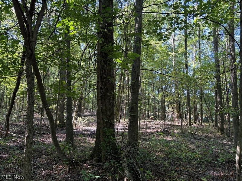 3777 Wayland Road, Diamond, OH 44412 Photo 24