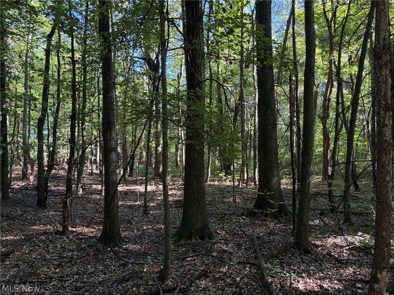 3777 Wayland Road, Diamond, OH 44412 Photo 25