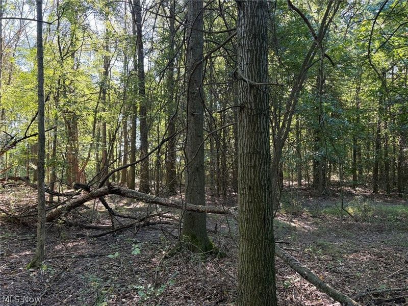 3777 Wayland Road, Diamond, OH 44412 Photo 26