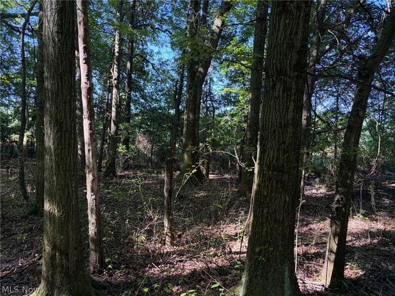 3777 Wayland Road, Diamond, OH 44412 Photo 27