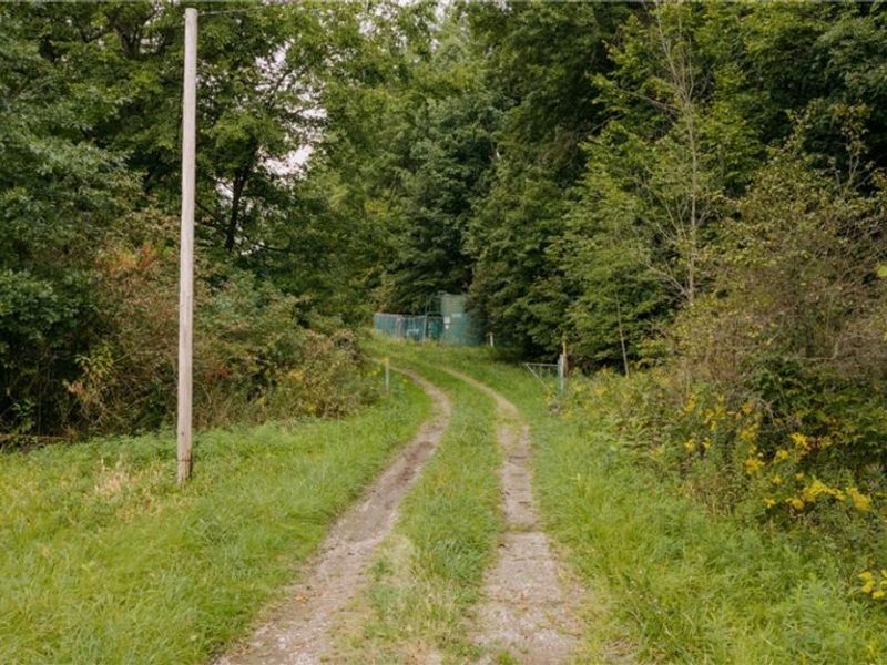 3777 Wayland Road, Diamond, OH 44412 Photo 3