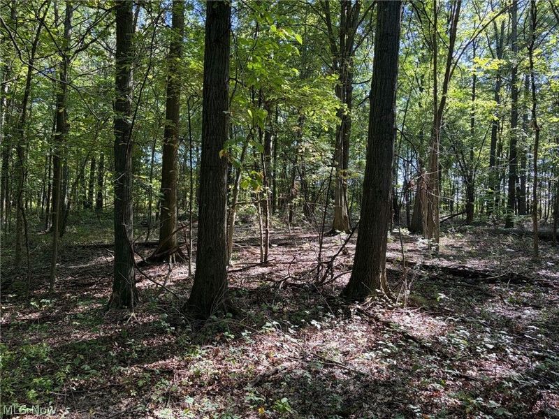 3777 Wayland Road, Diamond, OH 44412 Photo 31