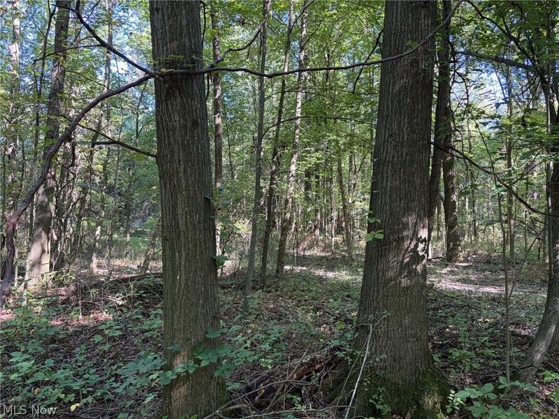 3777 Wayland Road, Diamond, OH 44412 Photo 32