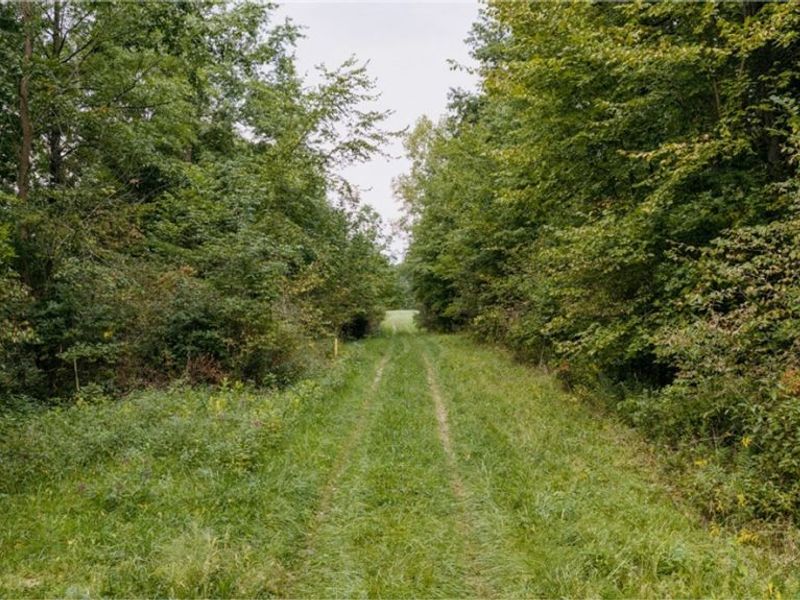 3777 Wayland Road, Diamond, OH 44412 Photo 4