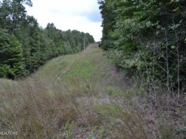 25.80ac Zizka Drive, Sparta, TN 38583