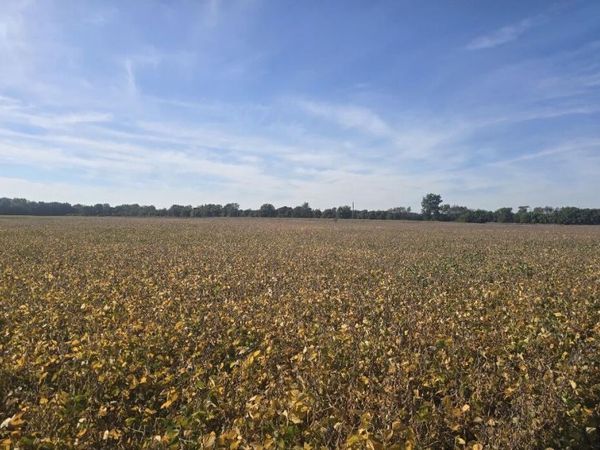 Marshall Road, Coldwater, MI 49036