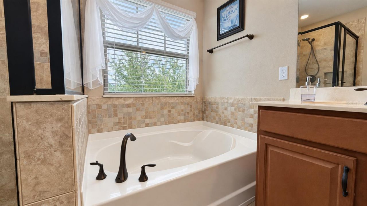 10870 Sunset Ridge Lane, Orlando, FL 32832 Photo