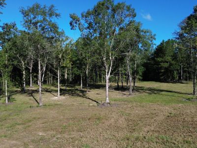 727 Crystal Lake, Huger, SC 29450