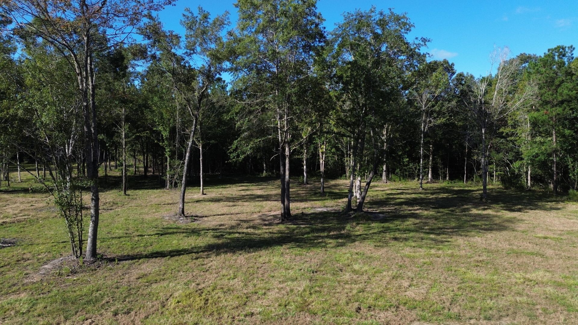 727 Crystal Lake Photo 10