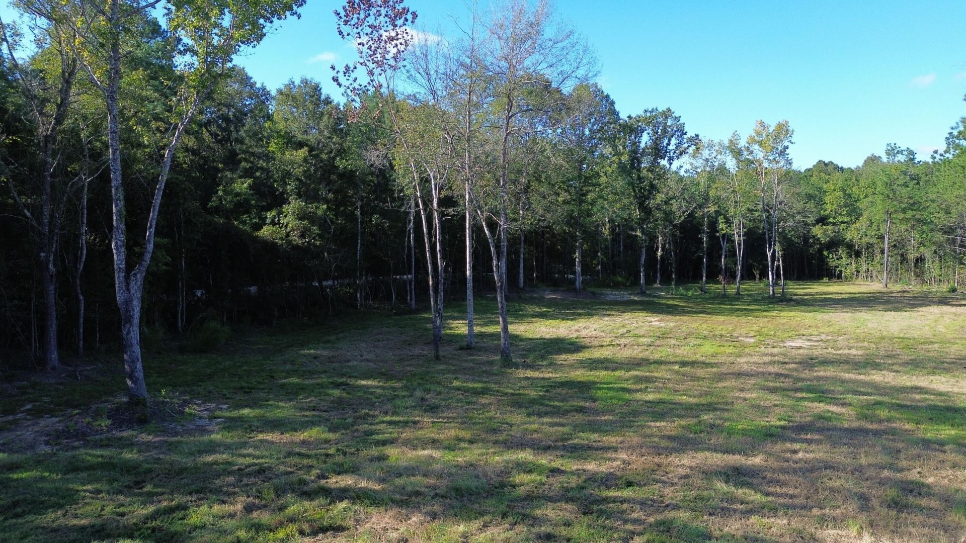 727 Crystal Lake Photo 12