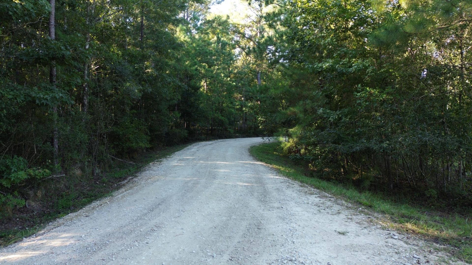 727 Crystal Lake Photo 13