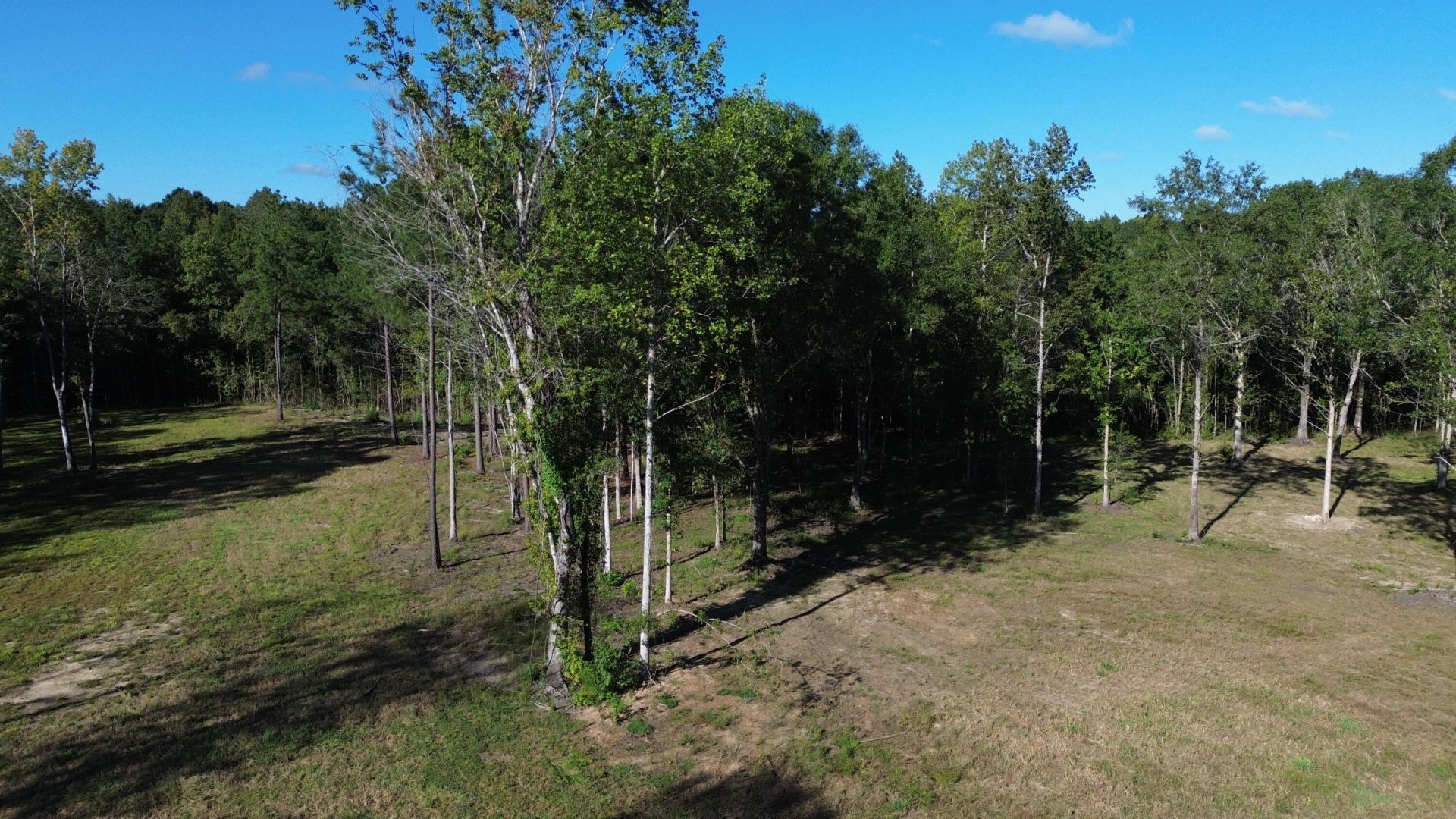 727 Crystal Lake Photo 15