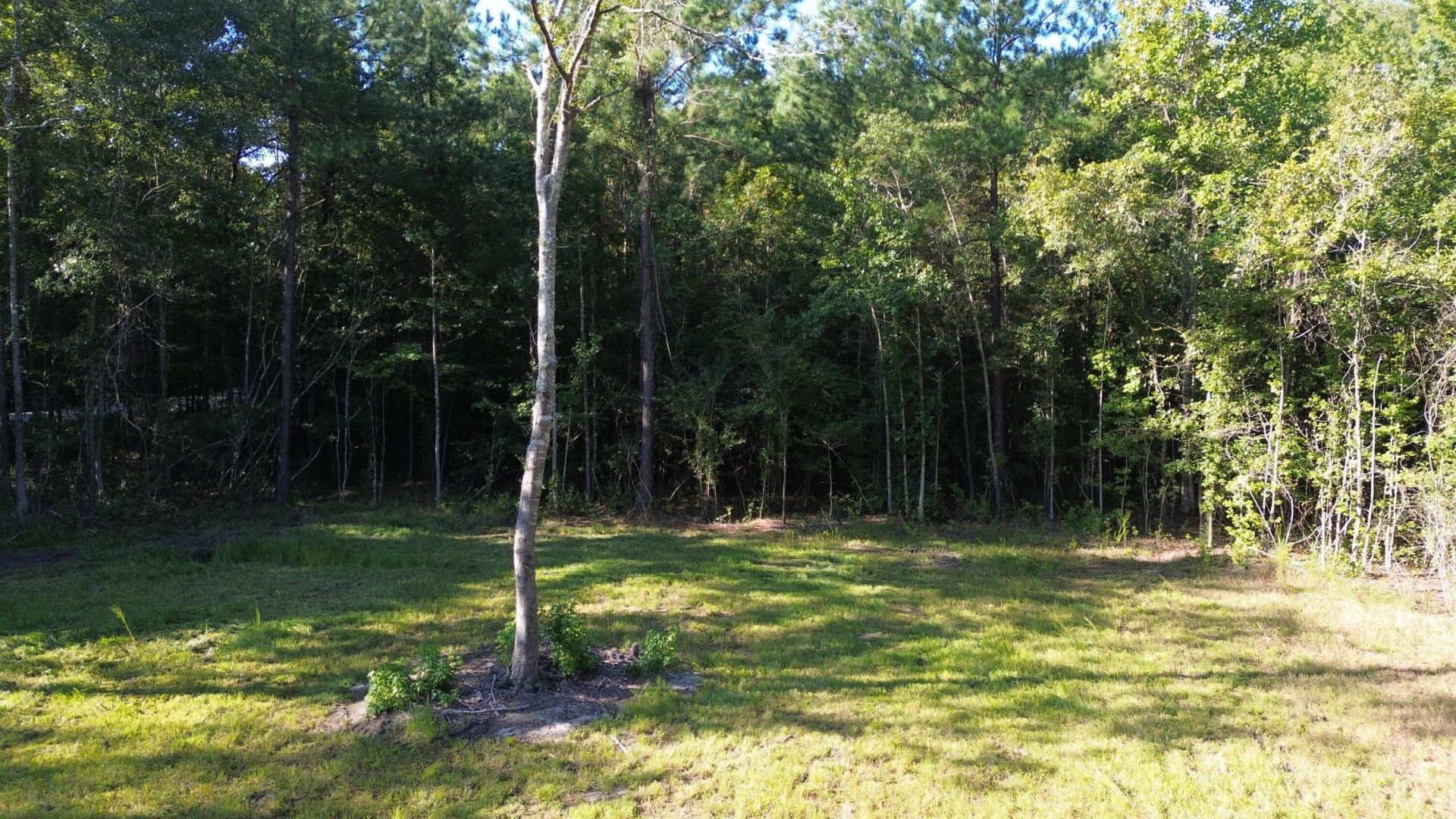 727 Crystal Lake Photo 22
