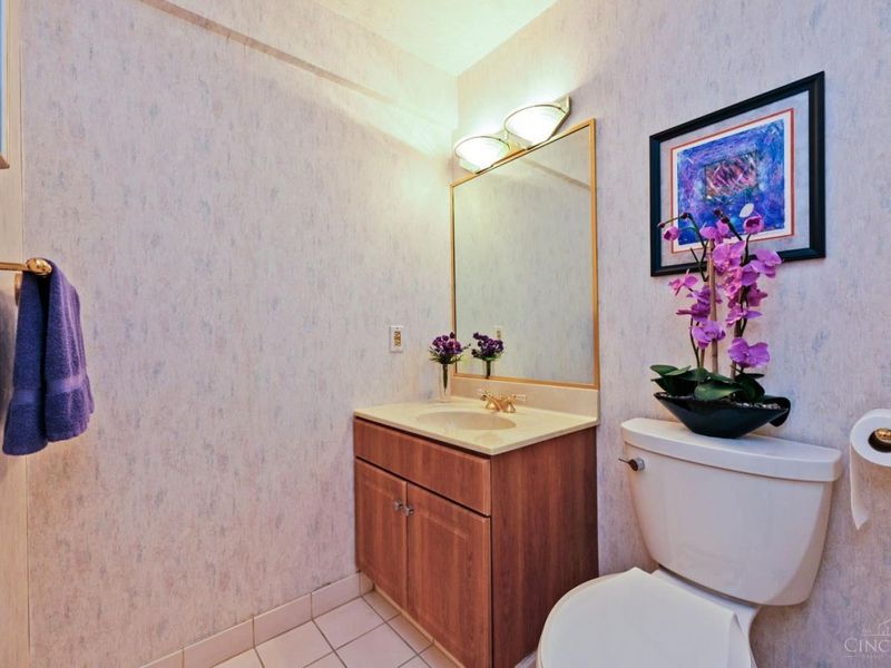 14 Falling Brook Lane, Blue Ash, OH 45241 Photo 50
