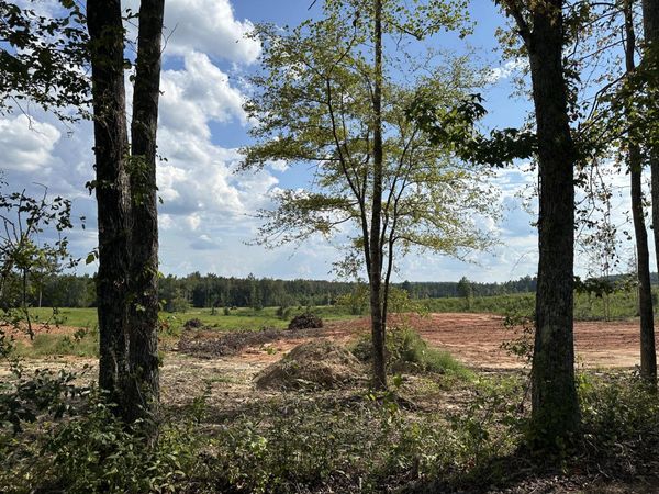0-Lot 6 Co Rd 222, Iuka, MS 38852