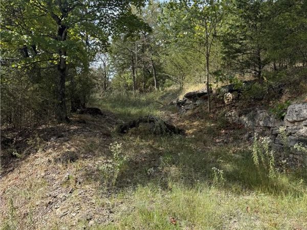 16 Oak Point Lane , Holiday Island, AR 72631