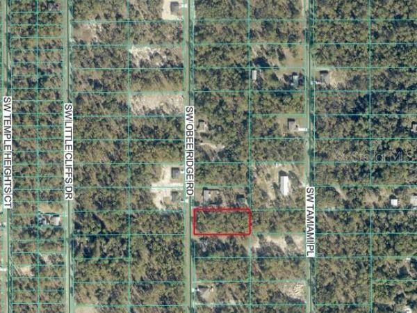 TBD SW OBEE RIDGE ROAD , DUNNELLON, FL 34431