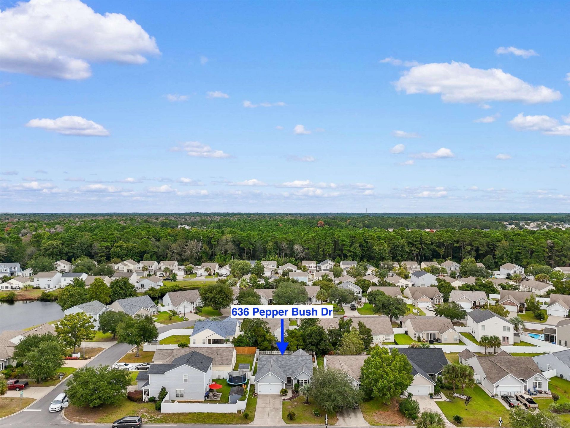 636 Pepperbush Dr. Photo 32
